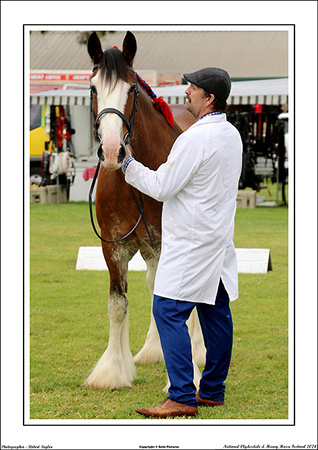 Nat. Clyd. & H. Horse Fest. - WEB - (112)