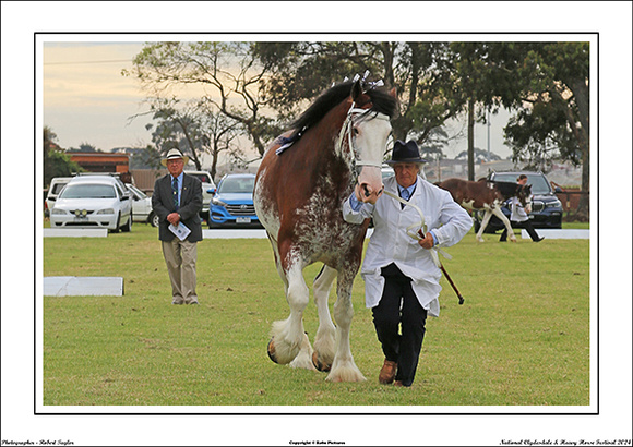 Nat. Clyd. & H. Horse Fest. - WEB - (127)