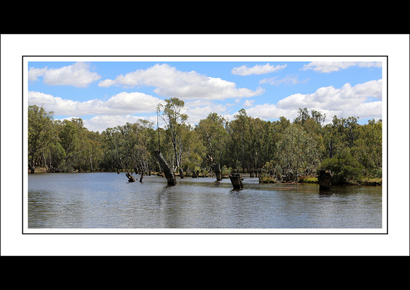 4 - 17.01.15 OVENS RIVER - W - (9)