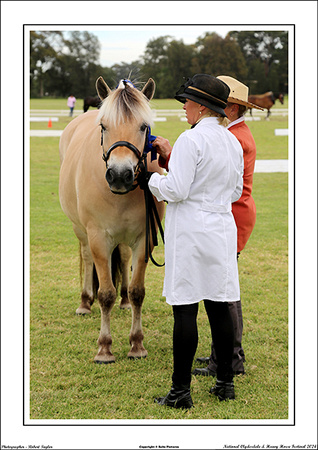 Nat. Clyd. & H. Horse Fest. - WEB - (171)