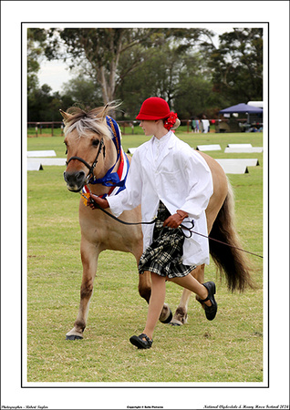 Nat. Clyd. & H. Horse Fest. - WEB - (180)