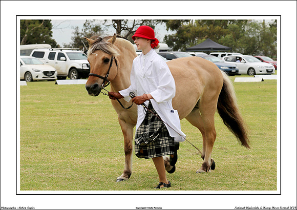 Nat. Clyd. & H. Horse Fest. - WEB - (184)