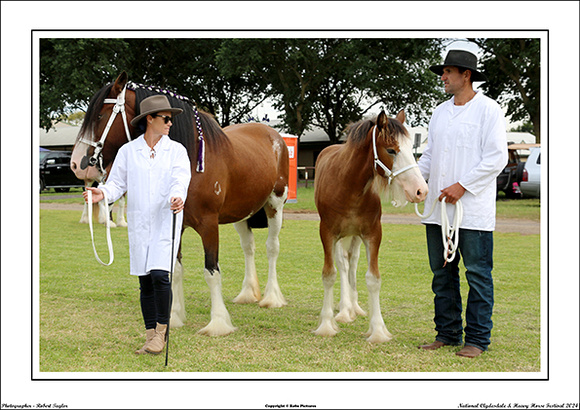 Nat. Clyd. & H. Horse Fest. - WEB - (188)