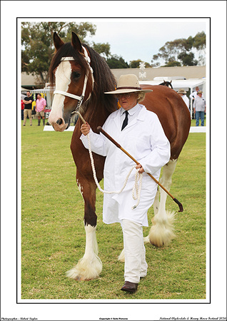 Nat. Clyd. & H. Horse Fest. - WEB - (198)