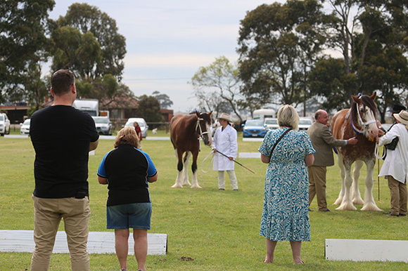 Nat. Clyd. & H. Horse Fest. -WEB Non Edit - X & S (282)