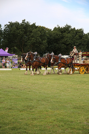 Nat. Clyd. & H. Horse Fest. -WEB Non Edit - X & S (693)