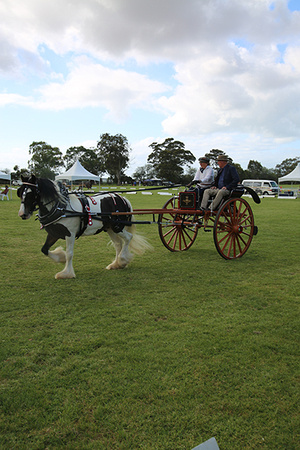 Nat. Clyd. & H. Horse Fest. -WEB Non Edit - X & S (825)