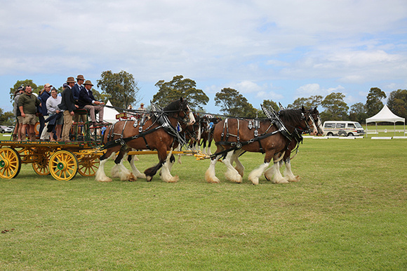 Nat. Clyd. & H. Horse Fest. -WEB Non Edit - X & S (987)