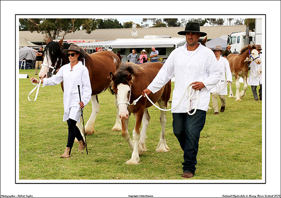 Nat. Clyd. & H. Horse Fest. - WEB - (201)