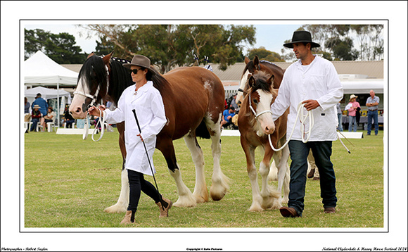 Nat. Clyd. & H. Horse Fest. - WEB - (205)