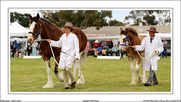 Nat. Clyd. & H. Horse Fest. - WEB - (206)