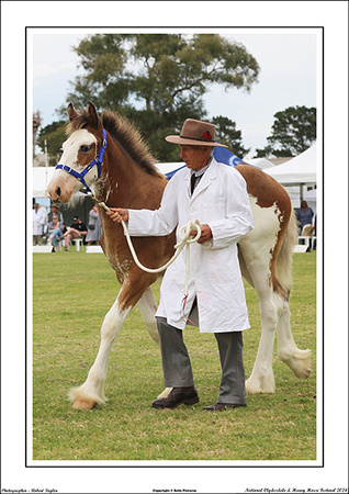 Nat. Clyd. & H. Horse Fest. - WEB - (207)