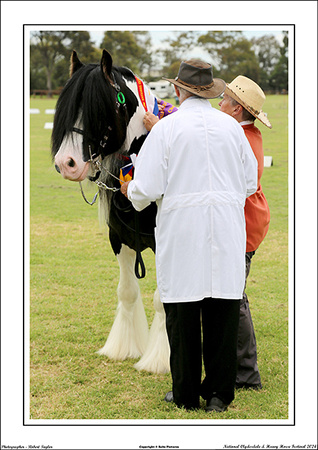 Nat. Clyd. & H. Horse Fest. - WEB - (210)