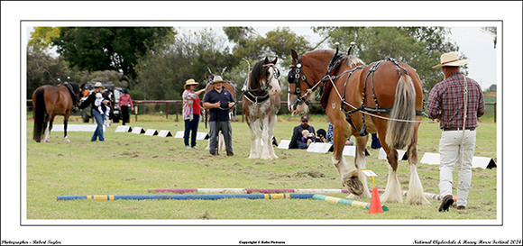 Nat. Clyd. & H. Horse Fest. - WEB - (219)