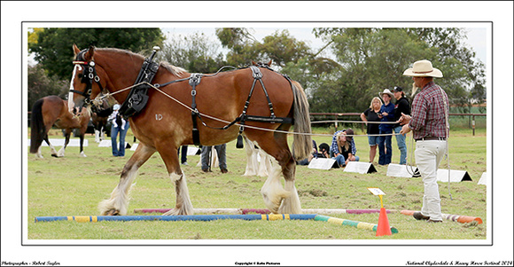 Nat. Clyd. & H. Horse Fest. - WEB - (220)