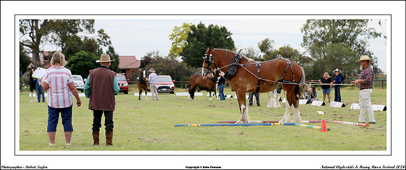 Nat. Clyd. & H. Horse Fest. - WEB - (222)