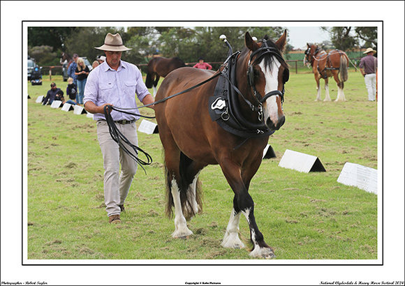 Nat. Clyd. & H. Horse Fest. - WEB - (262)
