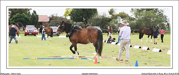 Nat. Clyd. & H. Horse Fest. - WEB - (265)