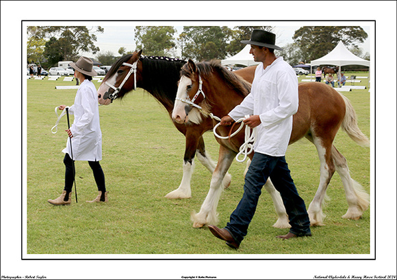 Nat. Clyd. & H. Horse Fest. - WEB - (321)