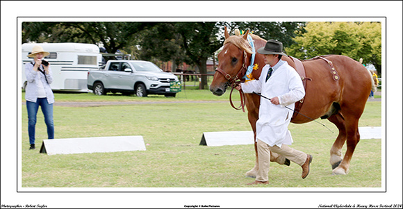 Nat. Clyd. & H. Horse Fest. - WEB - (327)