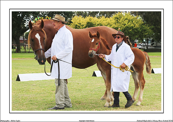 Nat. Clyd. & H. Horse Fest. - WEB - (329)