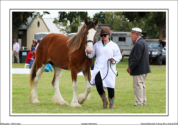 Nat. Clyd. & H. Horse Fest. - WEB - (330)