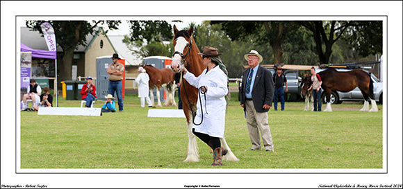 Nat. Clyd. & H. Horse Fest. - WEB - (331)