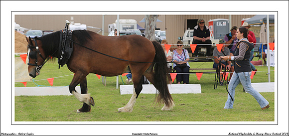 Nat. Clyd. & H. Horse Fest. - WEB - (353)