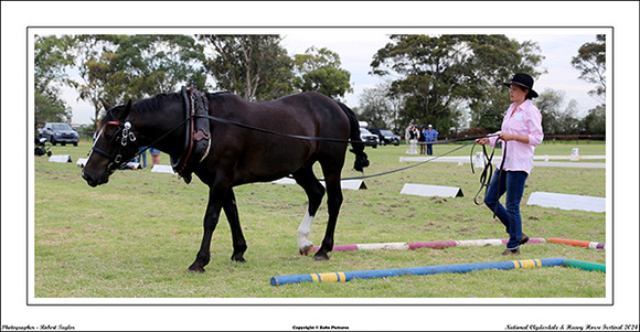 Nat. Clyd. & H. Horse Fest. - WEB - (361)