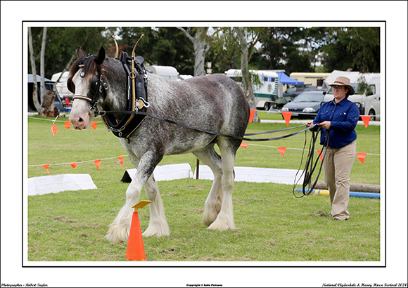 Nat. Clyd. & H. Horse Fest. - WEB - (378)