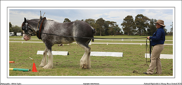 Nat. Clyd. & H. Horse Fest. - WEB - (384)