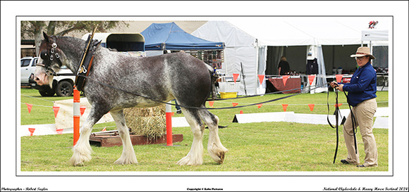 Nat. Clyd. & H. Horse Fest. - WEB - (400)