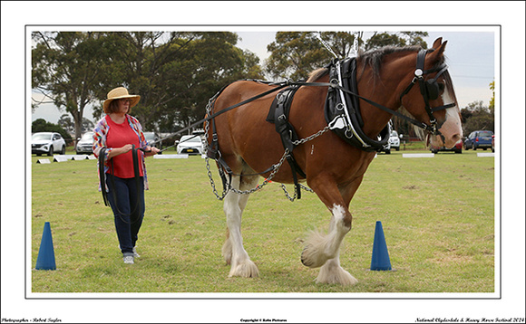 Nat. Clyd. & H. Horse Fest. - WEB - (417)