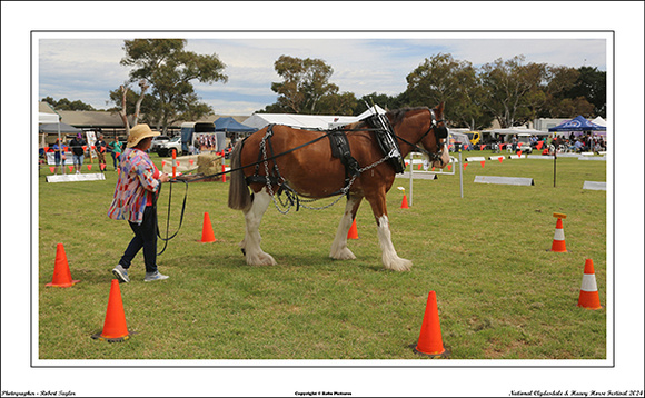 Nat. Clyd. & H. Horse Fest. - WEB - (423)