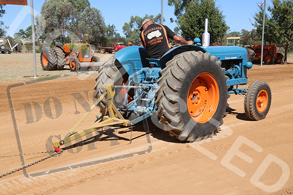 Corowa T.P. & V.Rally( 2024 - WEB - (532)