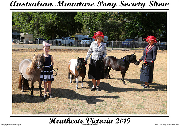 Aust. Min. Pony Society Show 2019 - WEB - (1)
