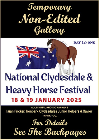 Nat.Clyd. & H.Horse Festival 2025 - WEB - Day 1 (1)