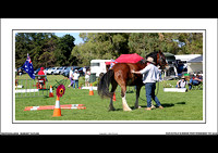 NAT.CLYD.& H.HORSE FEST. 2019 - WEB - (20)