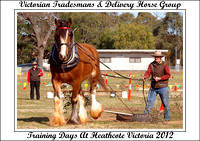 VT&DHG Training Days Heathcote Vic. - D1 2012