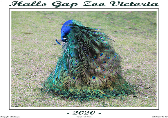 Halls Gap Zoo Vic - WEB - (1)