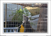 Halls Gap Zoo Vic - WEB - (12)