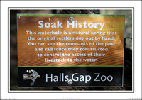 Halls Gap Zoo Vic - WEB - (18)