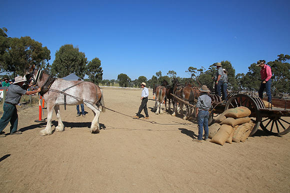 Rushworth & Moora Vic. Easter 2024 - WEB (670)