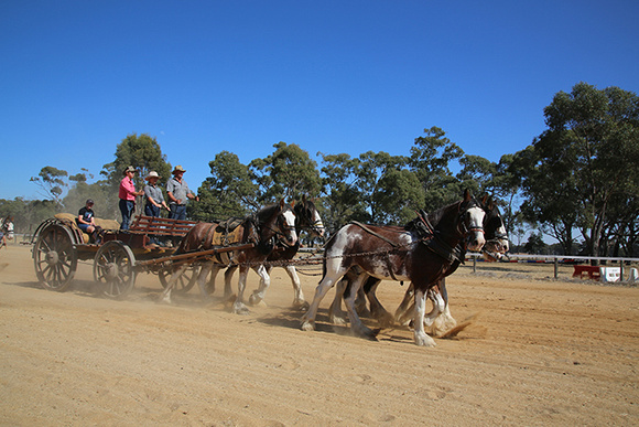 Rushworth & Moora Vic. Easter 2024 - WEB (699)