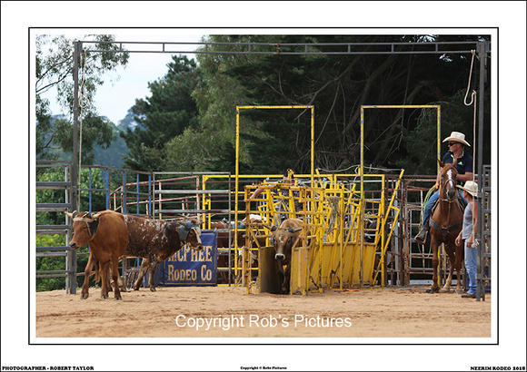 NEERIM RODEO 2018 - WEB - (2)