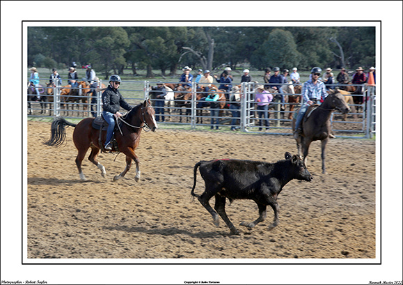 Barmah Muster 2022 - WEB - Sat, (20)