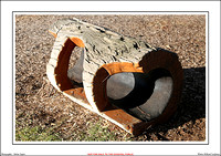 Winton Wetlands Sculptures - WEB - (13)