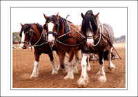 Rotary Steam,Horse & Vintage Rally - 2008