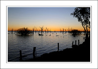 Rural Australia - Kow Swamp