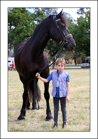 H.HORSE 2013 - ZEN - (19)